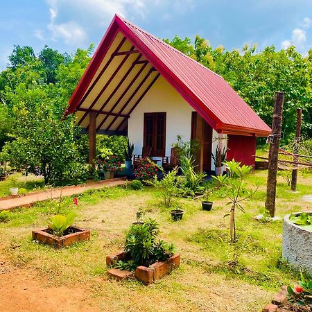 Sigiri Enaya Cottage Sigiriya Luaran gambar