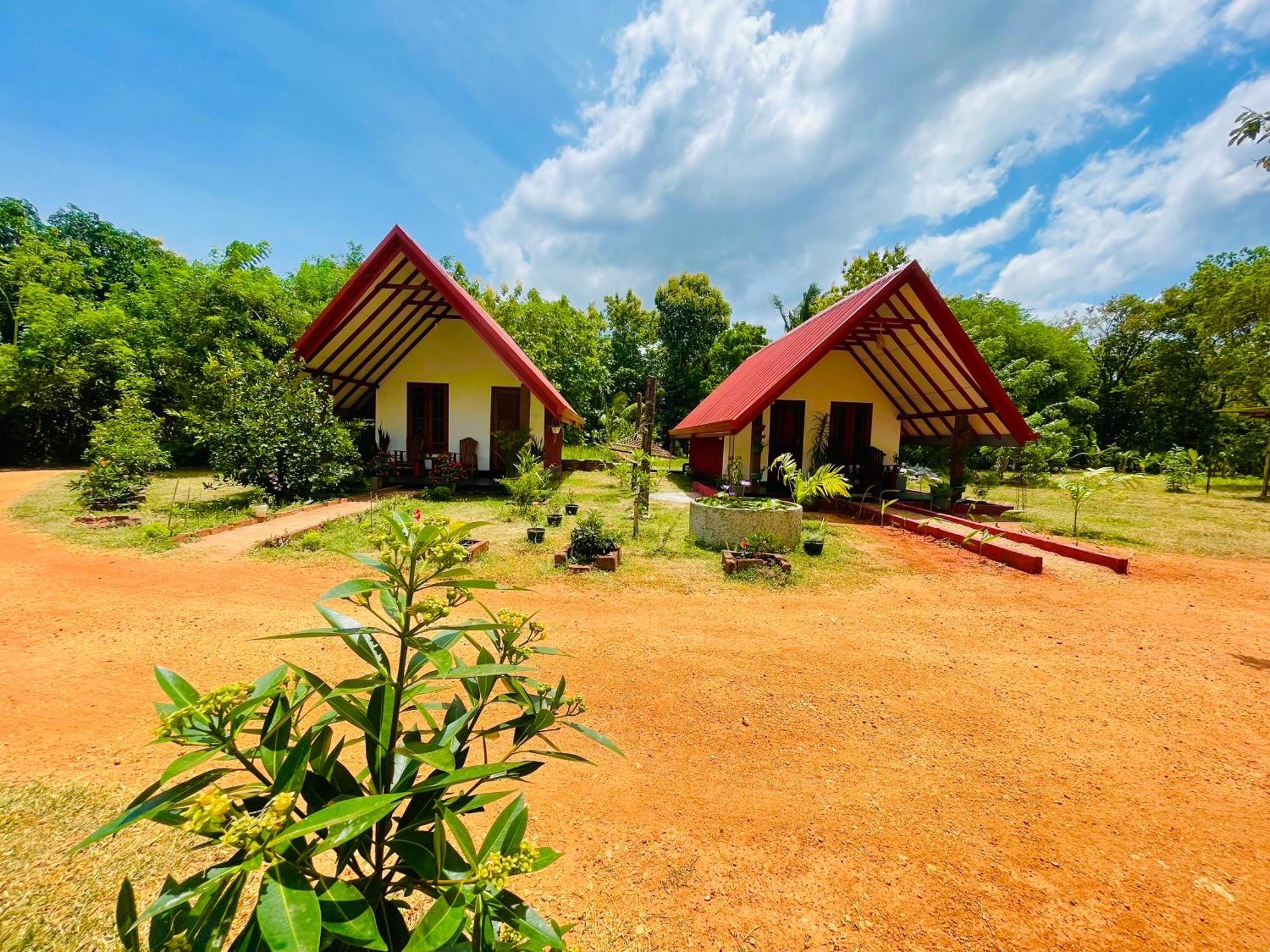 Sigiri Enaya Cottage Sigiriya Luaran gambar