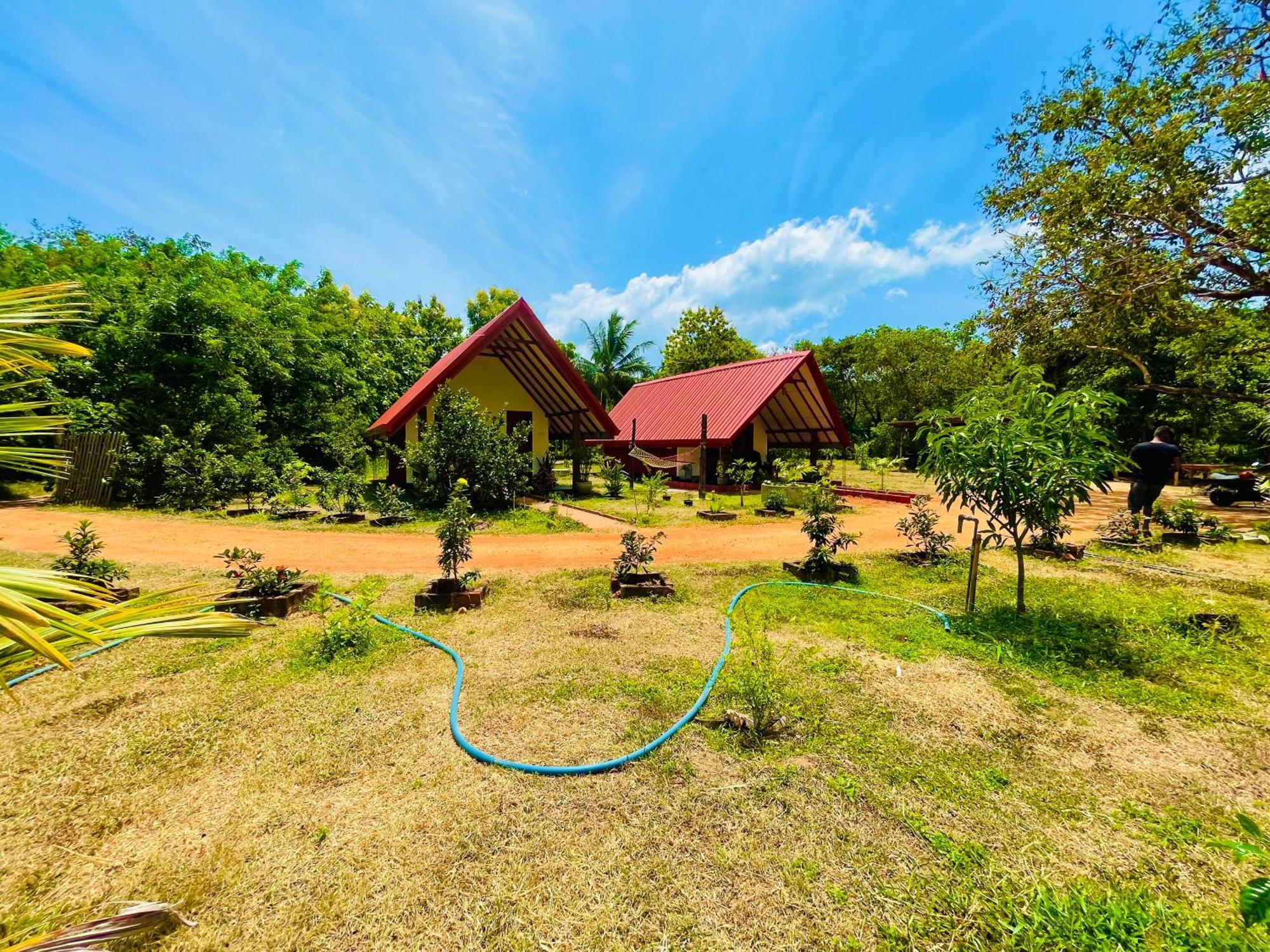 Sigiri Enaya Cottage Sigiriya Luaran gambar